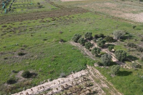 Terra a Selargius, Cagliari, Selargius - € 34.000 | Ref: 13646 - foto 3