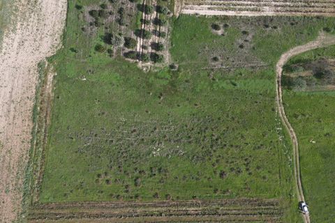 Terra a Selargius, Cagliari, Selargius - € 34.000 | Ref: 13646 - foto 4