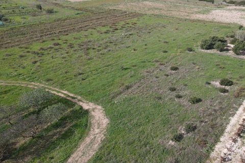 Terra a Selargius, Cagliari, Selargius - € 34.000 | Ref: 13646 - foto 5