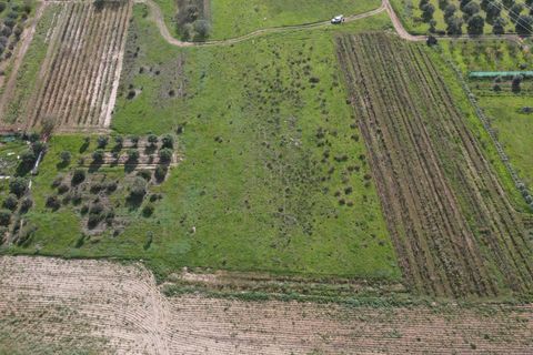 Terra a Selargius, Cagliari, Selargius - € 34.000 | Ref: 13646 - foto 10