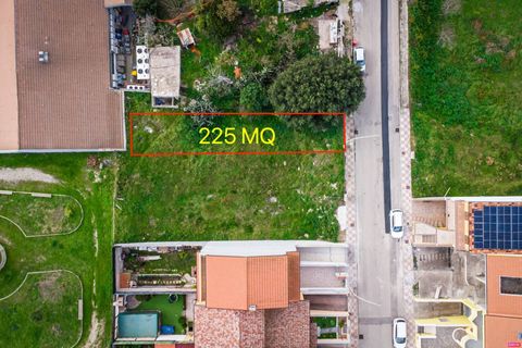 Terra a Ittiri, Sassari, Ittiri - € 37.000 | Ref: 13664 - foto 6