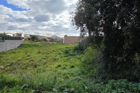 Terra a Ittiri, Sassari, Ittiri - € 37.000 | Ref: 13664 - foto 17