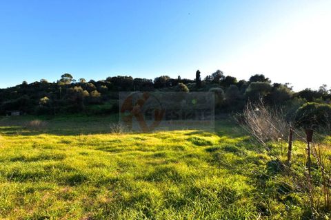 Terra a Sassari, Sassari, Sassari - € 54.000 | Ref: 13676 - foto 2