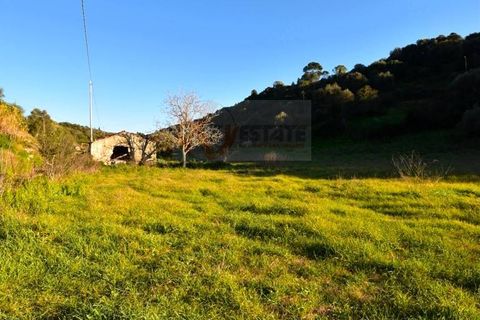 Terra a Sassari, Sassari, Sassari - € 54.000 | Ref: 13676 - foto 3