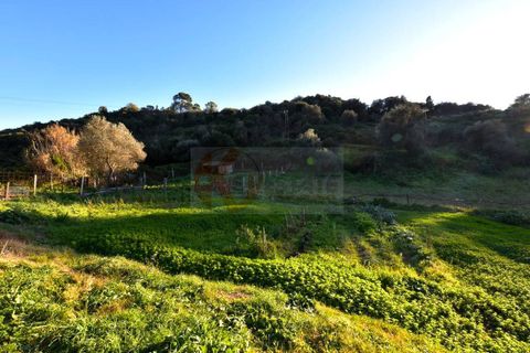 Terra a Sassari, Sassari, Sassari - € 54.000 | Ref: 13676 - foto 4