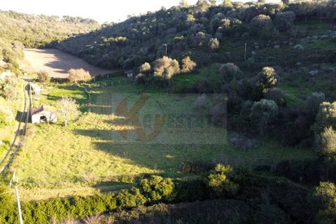 Terra a Sassari, Sassari, Sassari - € 54.000 | Ref: 13676 - foto 5