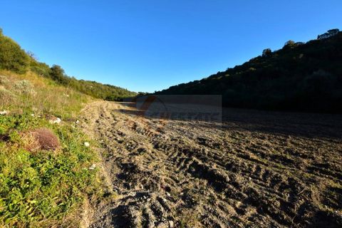 Terra a Sassari, Sassari, Sassari - € 54.000 | Ref: 13676 - foto 7