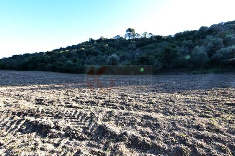 Terra a Sassari, Sassari, Sassari - € 54.000 | Ref: 13676 - foto 8