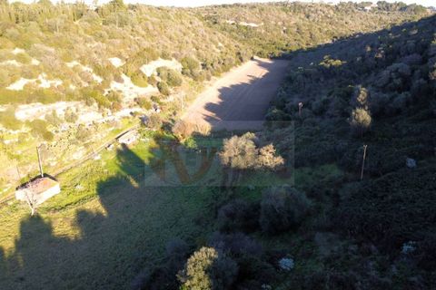 Terra a Sassari, Sassari, Sassari - € 54.000 | Ref: 13676 - foto 10