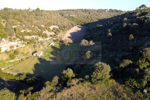 Terra a Sassari, Sassari, Sassari - € 54.000 | Ref: 13676 - foto 11