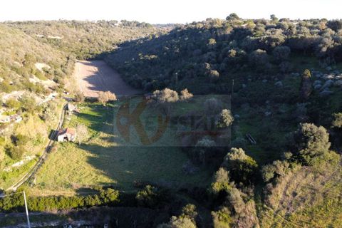Terra a Sassari, Sassari, Sassari - € 54.000 | Ref: 13676 - foto 12