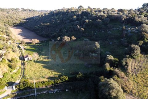 Terra a Sassari, Sassari, Sassari - € 54.000 | Ref: 13676 - foto 13