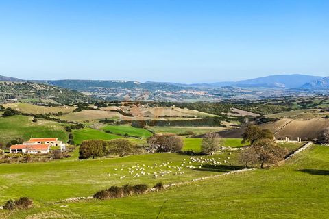 Villa a Chiaramonti, Sassari, Chiaramonti - € 380.000 | Ref: 13707 - foto 40