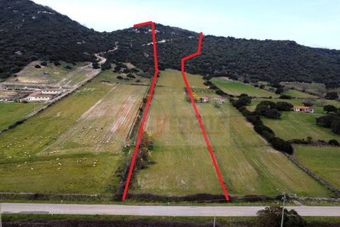 Terra a Siligo, Sassari, Siligo - € 45.000 | Ref: 13709 - foto 2
