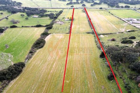 Terra a Siligo, Sassari, Siligo - € 45.000 | Ref: 13709 - foto 3