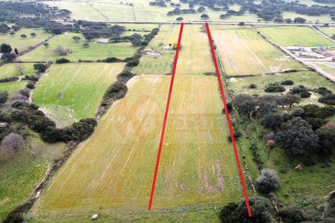 Terra a Siligo, Sassari, Siligo - € 45.000 | Ref: 13709 - foto 4