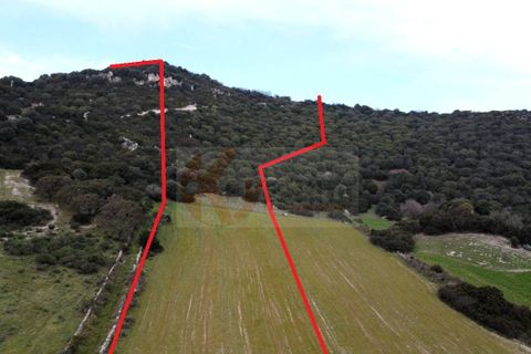 Terra a Siligo, Sassari, Siligo - € 45.000 | Ref: 13709 - foto 5