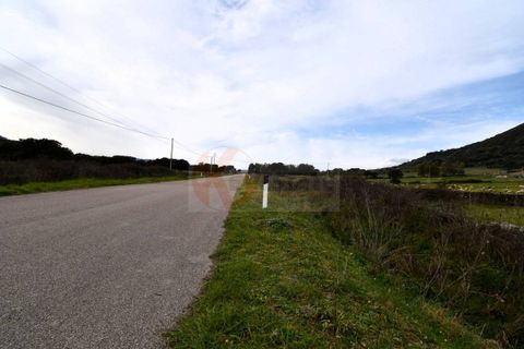Terra a Siligo, Sassari, Siligo - € 45.000 | Ref: 13709 - foto 6