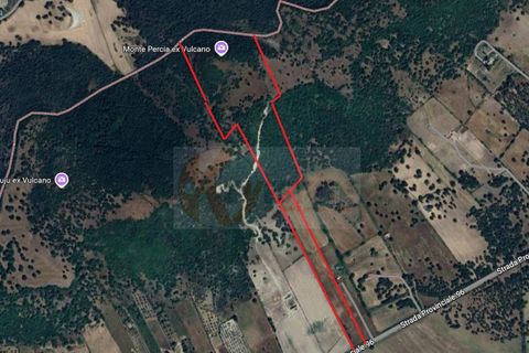 Terra a Siligo, Sassari, Siligo - € 45.000 | Ref: 13709 - foto 7