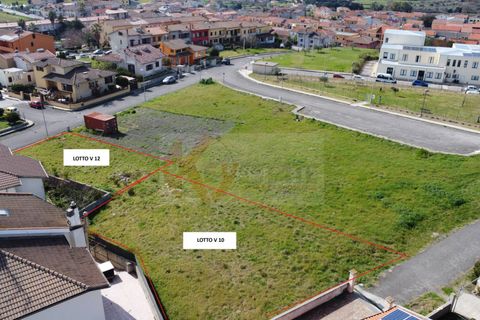 Terra a Florinas, Sassari, Florinas - € 14.000 | Ref: 13718 - foto 8