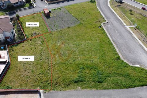 Terra a Florinas, Sassari, Florinas - € 14.000 | Ref: 13718 - foto 9
