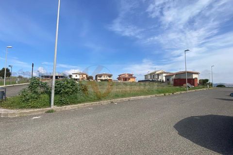 Terra a Florinas, Sassari, Florinas - € 14.000 | Ref: 13718 - foto 12