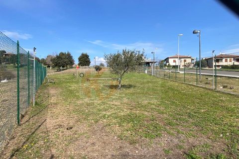 Terra a Florinas, Sassari, Florinas - € 14.000 | Ref: 13718 - foto 17