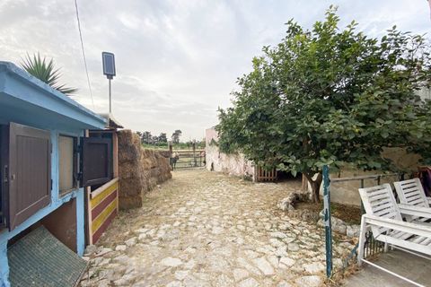 Villa i Brindisi, Brindisi, Brindisi - € 399.000 | Ref: 35301 - foto 34