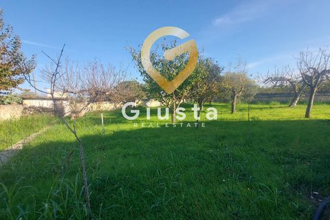 Villa i Brindisi, Brindisi, Brindisi - € 100.000 | Ref: 9090-91350 - foto 14