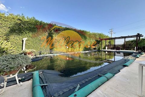 Villa i Siracusa, Siracusa, Siracusa - € 400.000 | Ref: RIF2124/400TREMMILIA - foto 22