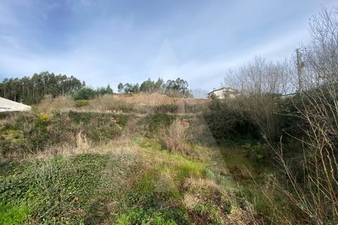 Helårsgrund i Agueda, Aveiro, Agueda - € 29.000 | Ref: 1012239/25 GL - foto 1
