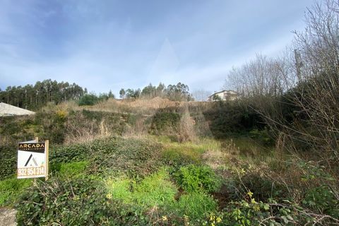 Helårsgrund i Agueda, Aveiro, Agueda - € 29.000 | Ref: 1012239/25 GL - foto 2