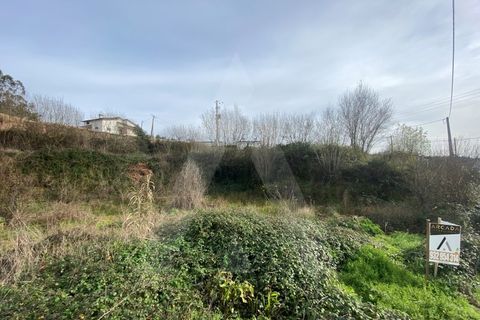 Helårsgrund i Agueda, Aveiro, Agueda - € 29.000 | Ref: 1012239/25 GL - foto 3
