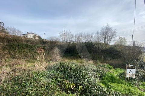 Helårsgrund i Agueda, Aveiro, Agueda - € 29.000 | Ref: 1012239/25 GL - foto 5