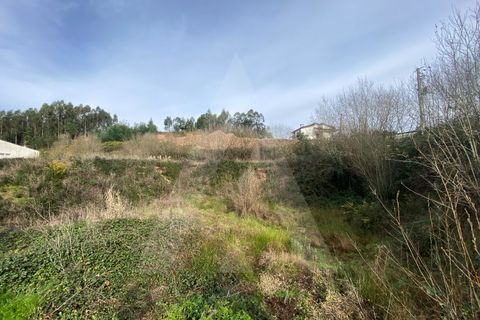 Helårsgrund i Agueda, Aveiro, Agueda - € 29.000 | Ref: 1012239/25 GL - foto 6