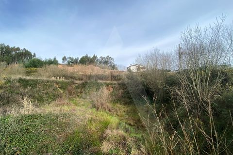 Helårsgrund i Agueda, Aveiro, Agueda - € 29.000 | Ref: 1012239/25 GL - foto 7