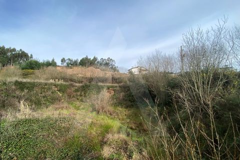Helårsgrund i Agueda, Aveiro, Agueda - € 29.000 | Ref: 1012239/25 GL - foto 8