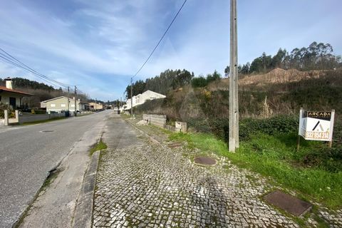 Helårsgrund i Agueda, Aveiro, Agueda - € 29.000 | Ref: 1012239/25 GL - foto 10
