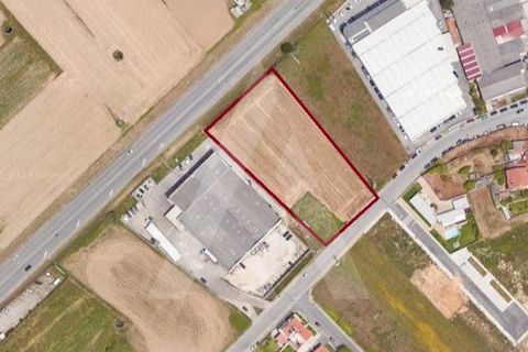 Helårsgrund i Aveiro, Aveiro, Aveiro - € 1.500.000 | Ref: 1012171/24 GL - foto 2