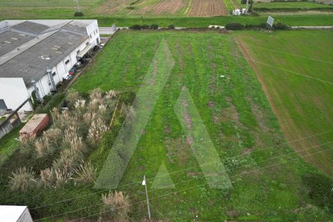 Helårsgrund i Aveiro, Aveiro, Aveiro - € 1.500.000 | Ref: 1012171/24 GL - foto 3