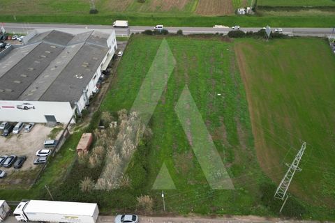 Helårsgrund i Aveiro, Aveiro, Aveiro - € 1.500.000 | Ref: 1012171/24 GL - foto 4