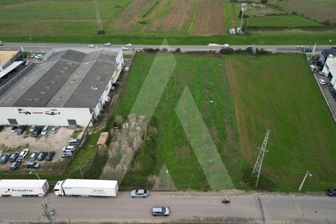 Helårsgrund i Aveiro, Aveiro, Aveiro - € 1.500.000 | Ref: 1012171/24 GL - foto 5