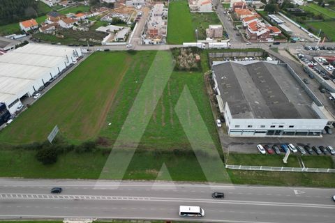 Helårsgrund i Aveiro, Aveiro, Aveiro - € 1.500.000 | Ref: 1012171/24 GL - foto 6