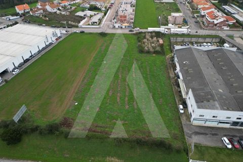 Helårsgrund i Aveiro, Aveiro, Aveiro - € 1.500.000 | Ref: 1012171/24 GL - foto 7