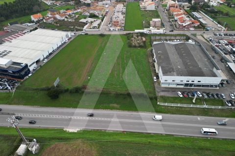 Helårsgrund i Aveiro, Aveiro, Aveiro - € 1.500.000 | Ref: 1012171/24 GL - foto 8