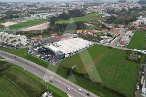 Helårsgrund i Aveiro, Aveiro, Aveiro - € 1.500.000 | Ref: 1012171/24 GL - foto 9