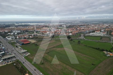 Helårsgrund i Aveiro, Aveiro, Aveiro - € 1.500.000 | Ref: 1012171/24 GL - foto 12