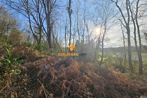 Terra a Barbazan-Debat, Hautes-Pyrenees, Barbazan-Debat - € 82.000 | Ref: 85839097 - foto 2