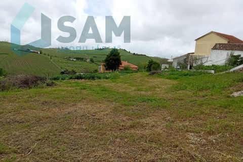 Helårsgrund i Alenquer, Lisbon, Alenquer - € 82.500 | Ref: TV/SM011-25 - foto 5