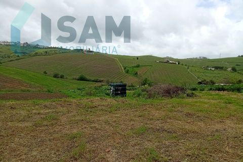 Helårsgrund i Alenquer, Lisbon, Alenquer - € 82.500 | Ref: TV/SM011-25 - foto 13